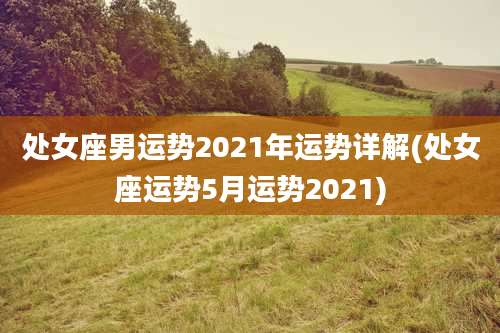 处女座男运势2021年运势详解(处女座运势5月运势2021)