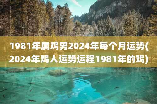 1981年属鸡男2024年每个月运势(2024年鸡人运势运程1981年的鸡)