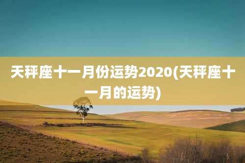 天秤座十一月份运势2020(天秤座十一月的运势)