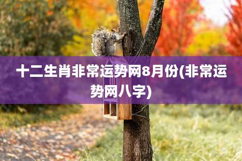 十二生肖非常运势网8月份(非常运势网八字)