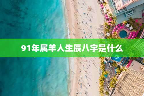91年属羊人生辰八字是什么
