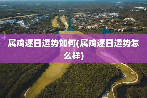 属鸡逐日运势如何(属鸡逐日运势怎么样)