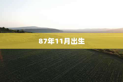 87年11月出生