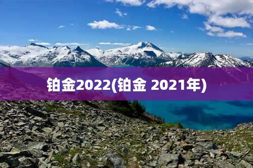 铂金2022(铂金 2021年)