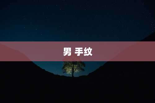 男 手纹