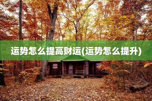 运势怎么提高财运(运势怎么提升)