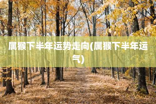 属猴下半年运势走向(属猴下半年运气)