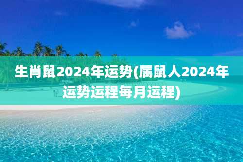 生肖鼠2024年运势(属鼠人2024年运势运程每月运程)