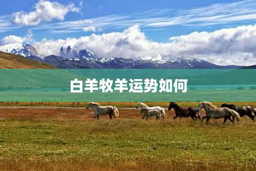 白羊牧羊运势如何