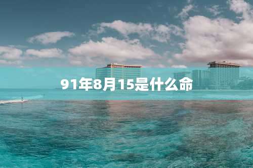 91年8月15是什么命