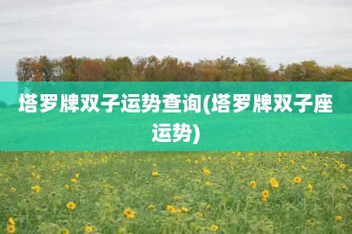 塔罗牌双子运势查询(塔罗牌双子座运势)