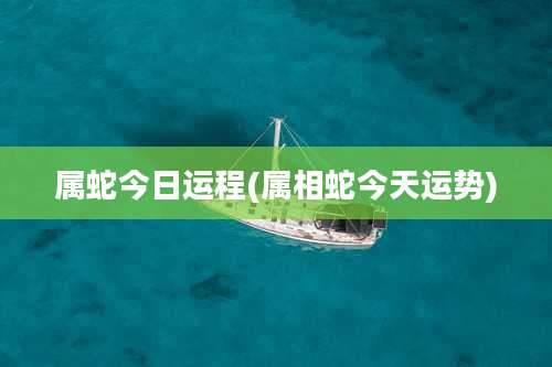 属蛇今日运程(属相蛇今天运势)