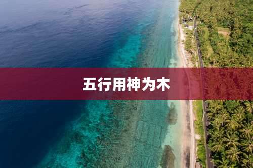 五行用神为木