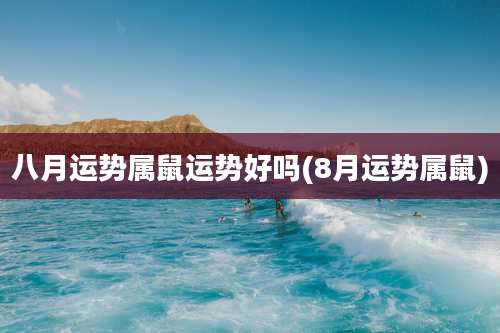 八月运势属鼠运势好吗(8月运势属鼠)