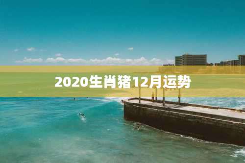 2020生肖猪12月运势