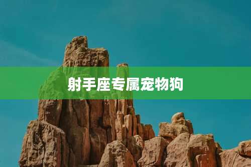 射手座专属宠物狗