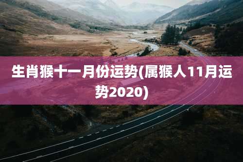 生肖猴十一月份运势(属猴人11月运势2020)