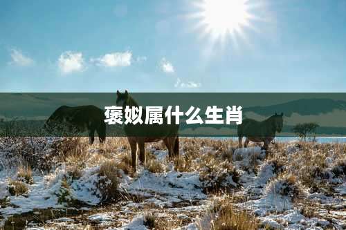 褒姒属什么生肖