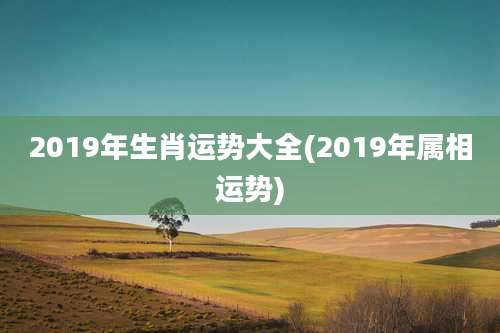 2019年生肖运势大全(2019年属相运势)