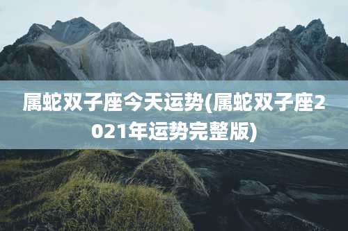 属蛇双子座今天运势(属蛇双子座2021年运势完整版)