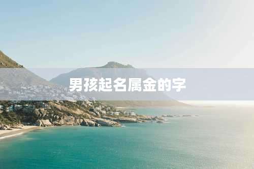 男孩起名属金的字