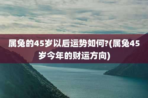 属兔的45岁以后运势如何?(属兔45岁今年的财运方向)
