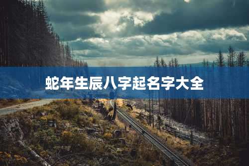 蛇年生辰八字起名字大全