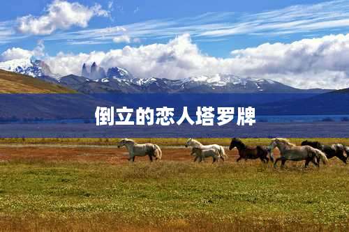 倒立的恋人塔罗牌