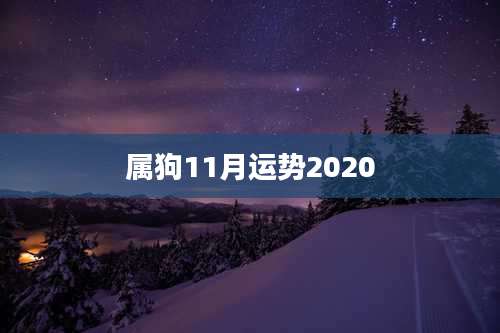 属狗11月运势2020