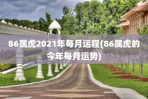86属虎2021年每月运程(86属虎的今年每月运势)