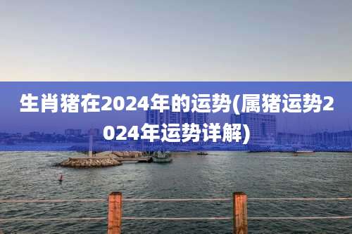 生肖猪在2024年的运势(属猪运势2024年运势详解)