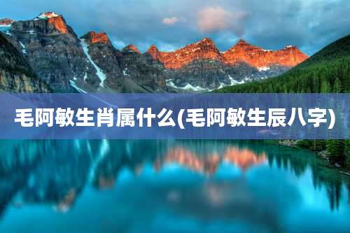 毛阿敏生肖属什么(毛阿敏生辰八字)