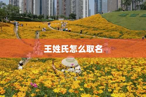 王姓氏怎么取名
