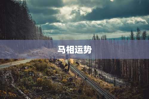马相运势