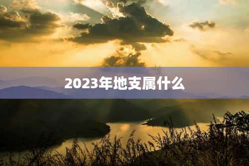 2023年地支属什么