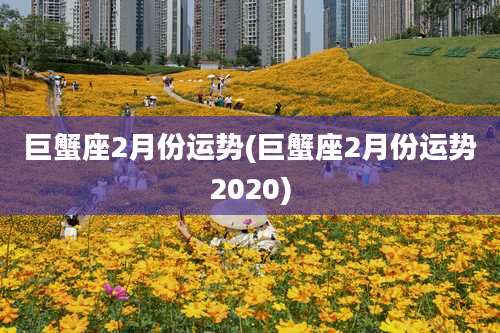 巨蟹座2月份运势(巨蟹座2月份运势2020)