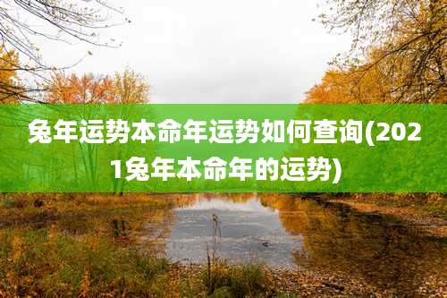 兔年运势本命年运势如何查询(2021兔年本命年的运势)