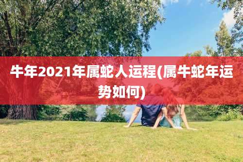 牛年2021年属蛇人运程(属牛蛇年运势如何)