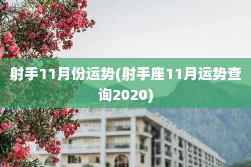 射手11月份运势(射手座11月运势查询2020)