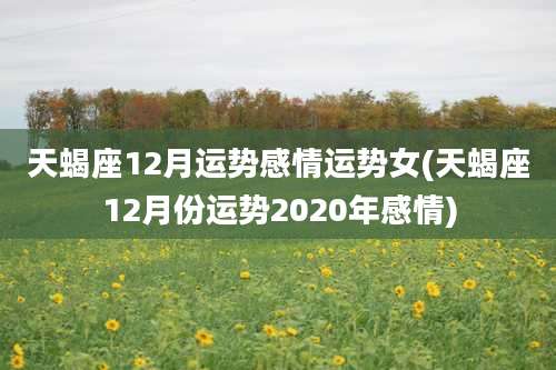 天蝎座12月运势感情运势女(天蝎座12月份运势2020年感情)
