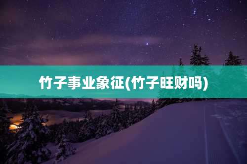 竹子事业象征(竹子旺财吗)