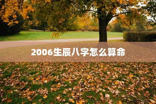 2006生辰八字怎么算命