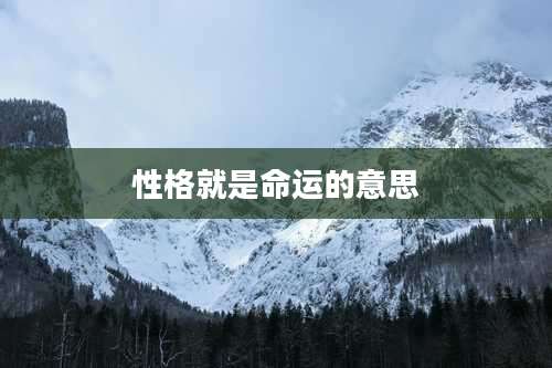 性格就是命运的意思