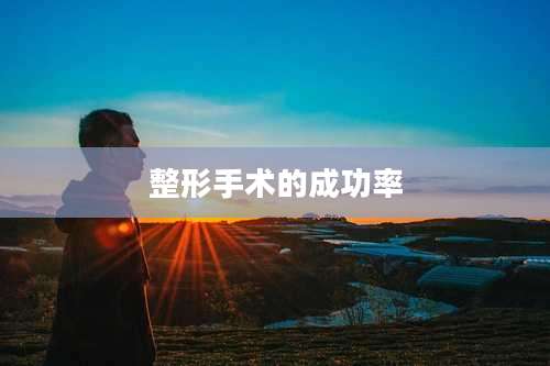 整形手术的成功率