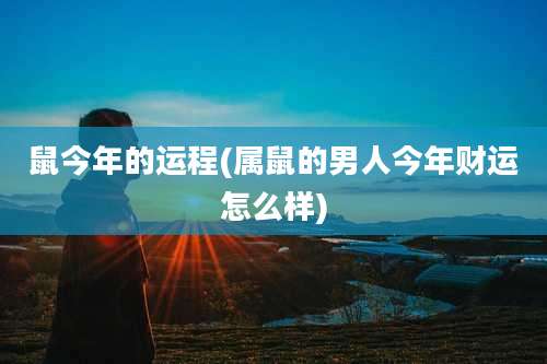 鼠今年的运程(属鼠的男人今年财运怎么样)