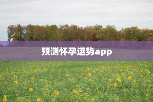 预测怀孕运势app