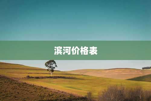 滨河价格表