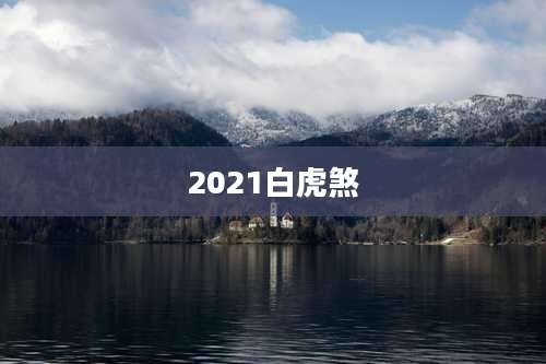 2021白虎煞