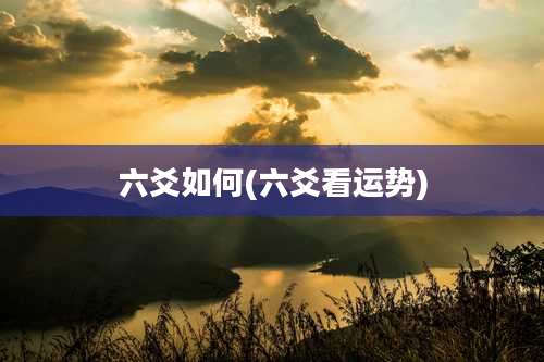 六爻如何(六爻看运势)