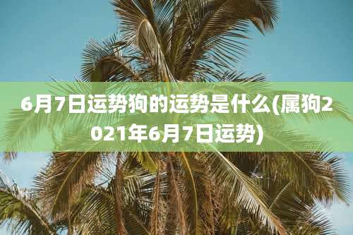 6月7日运势狗的运势是什么(属狗2021年6月7日运势)